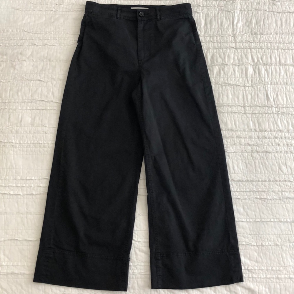 Everlane Wide Leg Crop Chinos